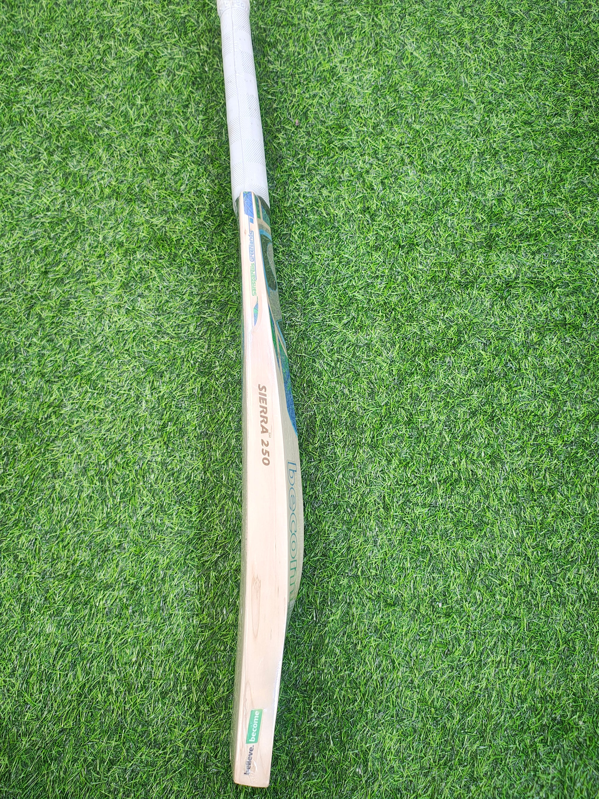 SG Sierra 250 English Willow Cricket Bat | 1130g